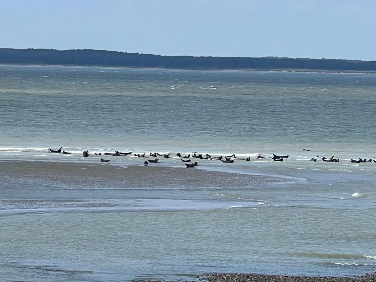 Plage A 50M Appartement Reves Ensoleilles Villa Les Bains De Mers Buitenkant foto